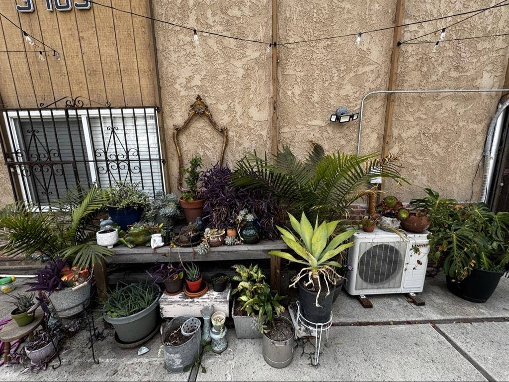 ROOMMATE NEEDED MOVE IN MAY 1st
