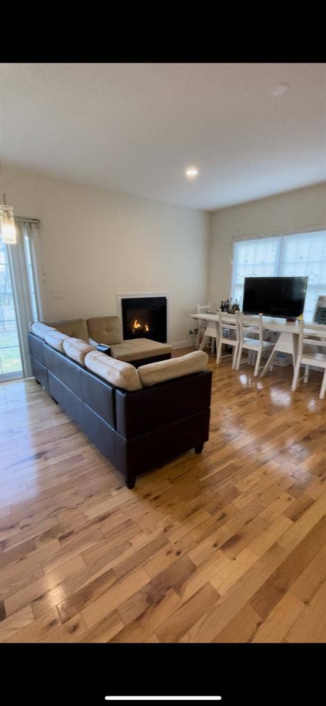 Very Beautiful Room in Piscataway