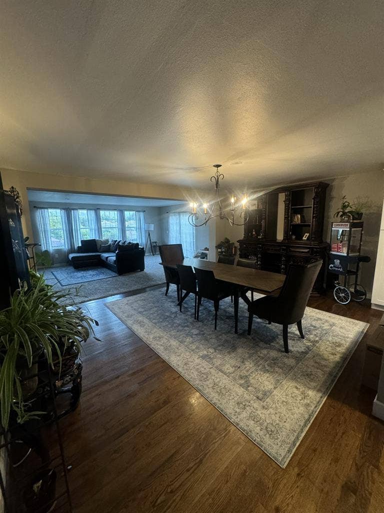 Beautiful quiet and spacious house