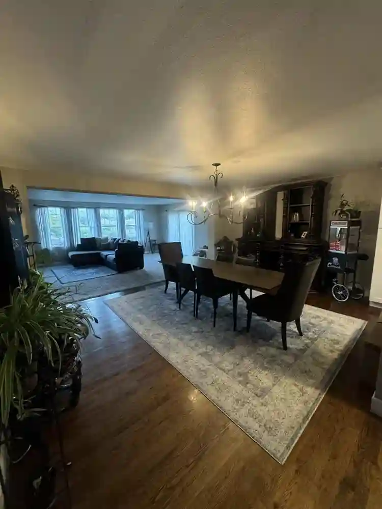 Beautiful quiet and spacious house