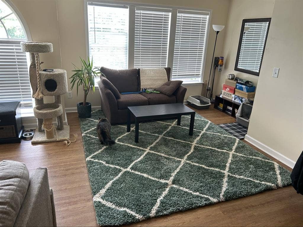Room in Greensboro