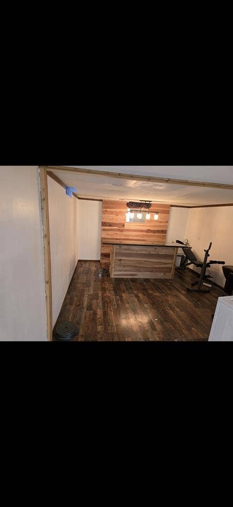 Large basement room for rent