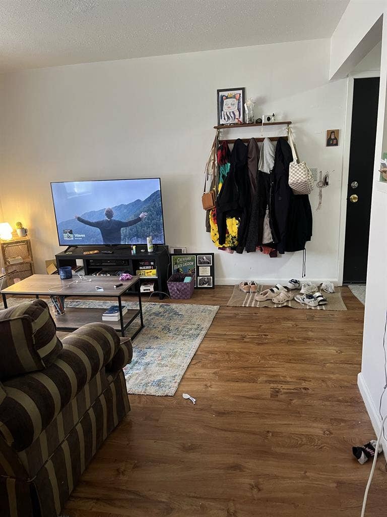 Looking for a normal roommate