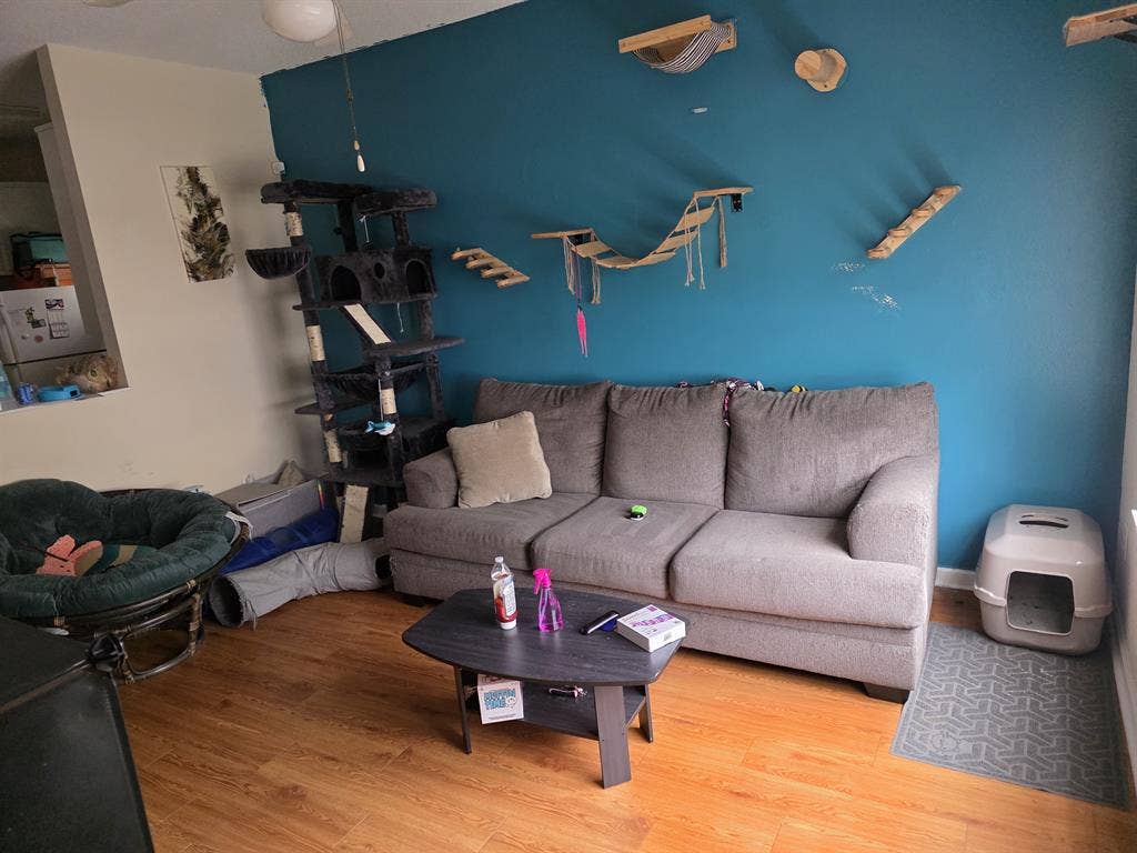 One bed one bath in Townhouse