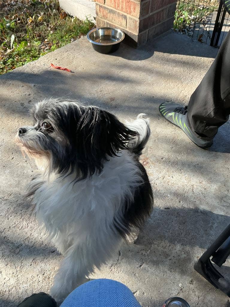 Looking for place on the fly