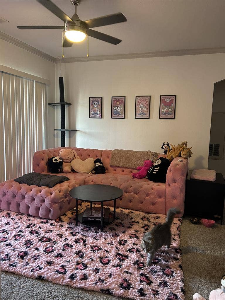 Looking for New Roommate for June!
