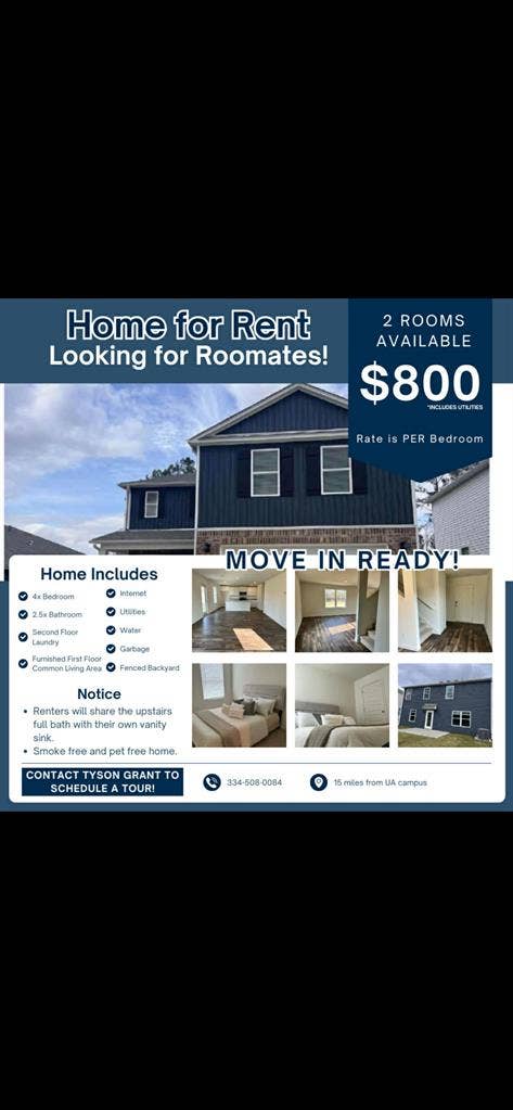Two roommates wanted