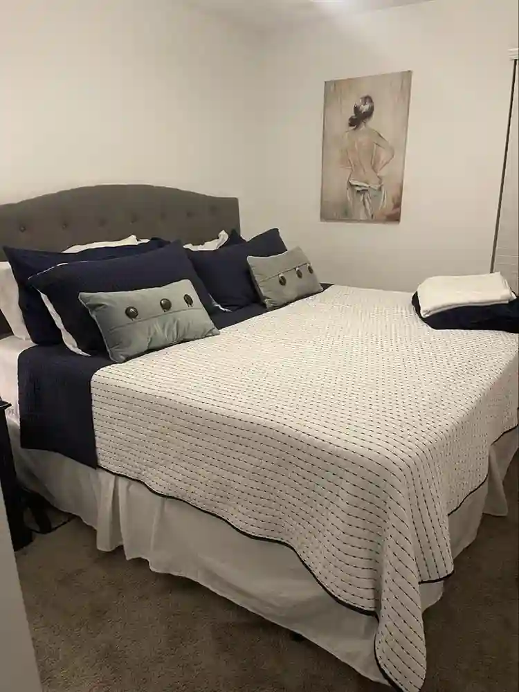 Looking for a roommate!