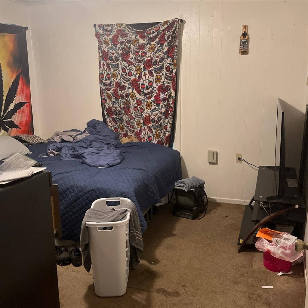 Need roommate