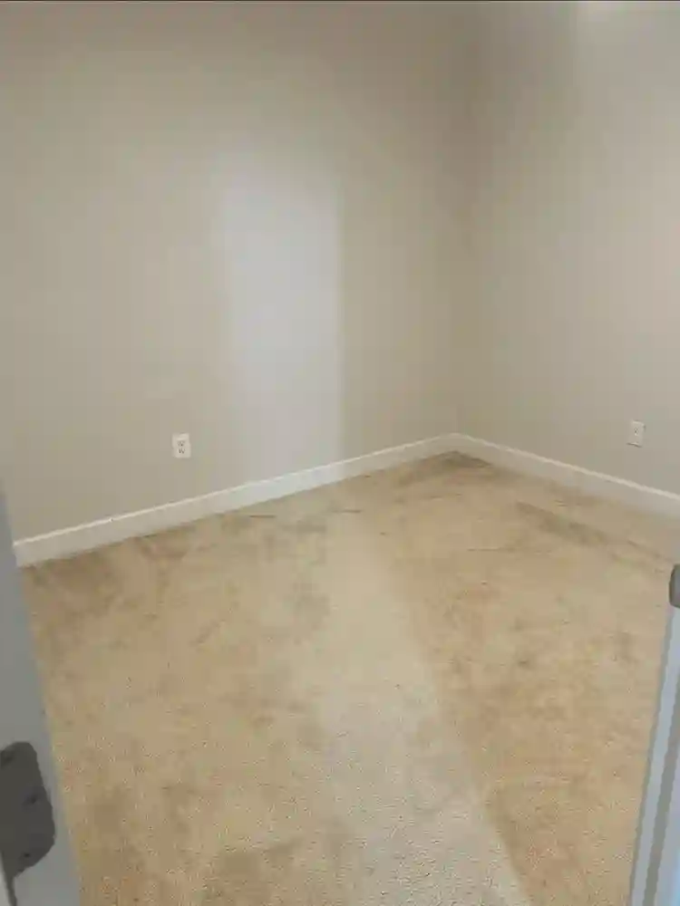 2 bedroom basement apartment