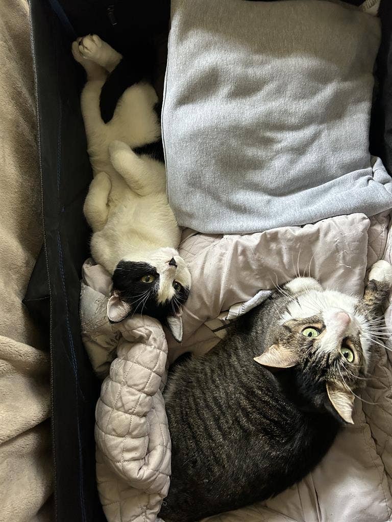 Private Rm + Private Bth La Habra