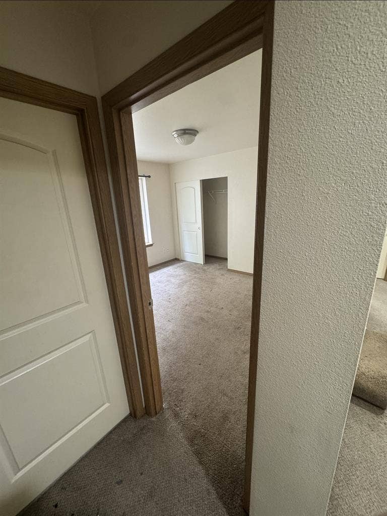 South hill area great location