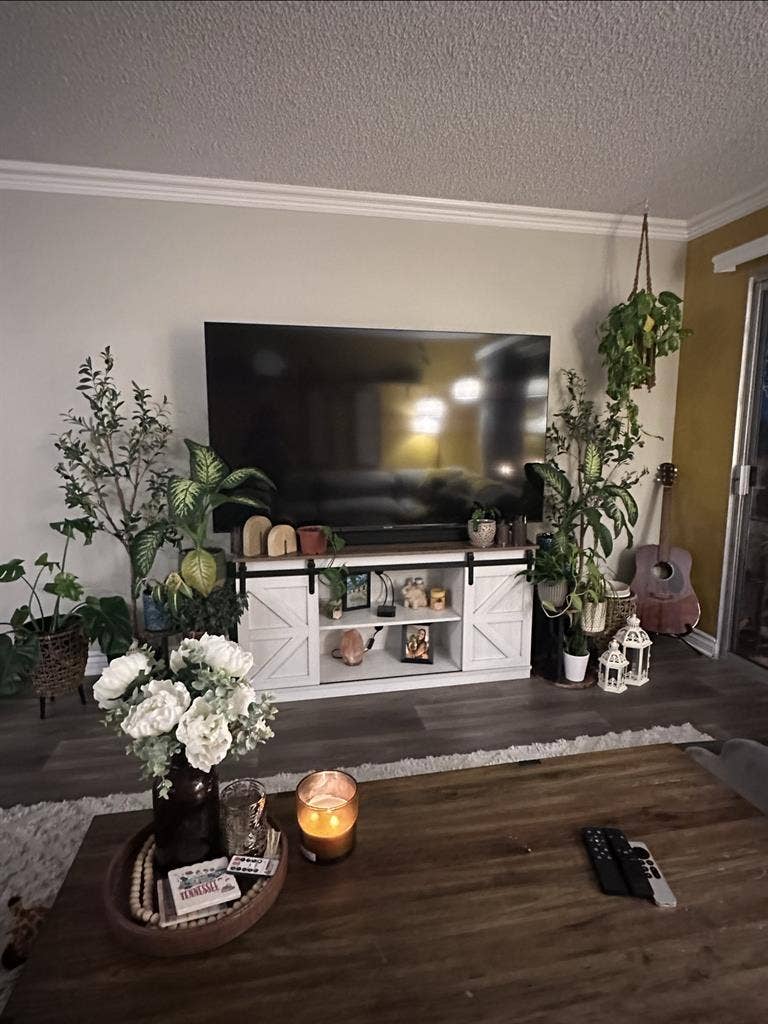 Looking for a female roommate!