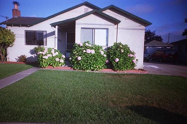 Sunny furnished BR, available