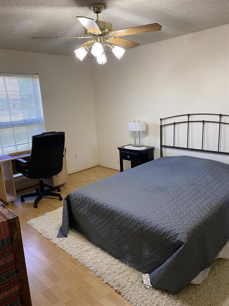 Houseguest for a Plano Home