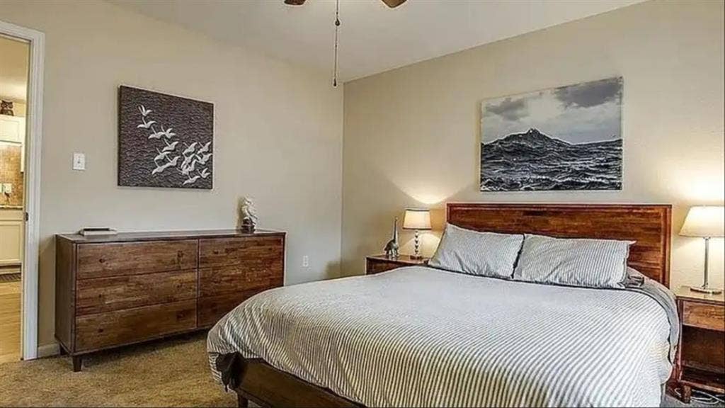 Roommate needed in a furnished Apt