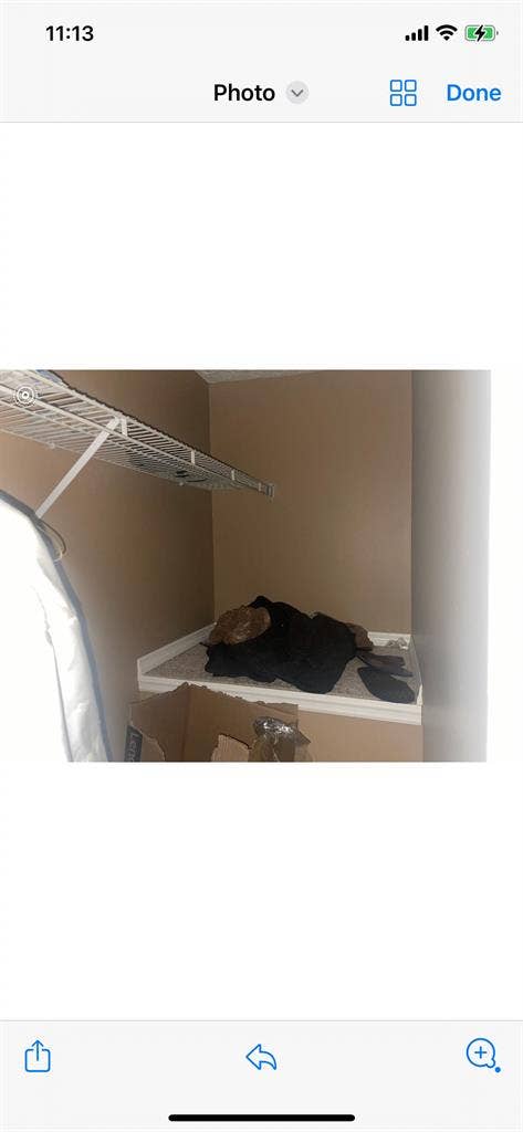 Big Bedroom with walk in closet