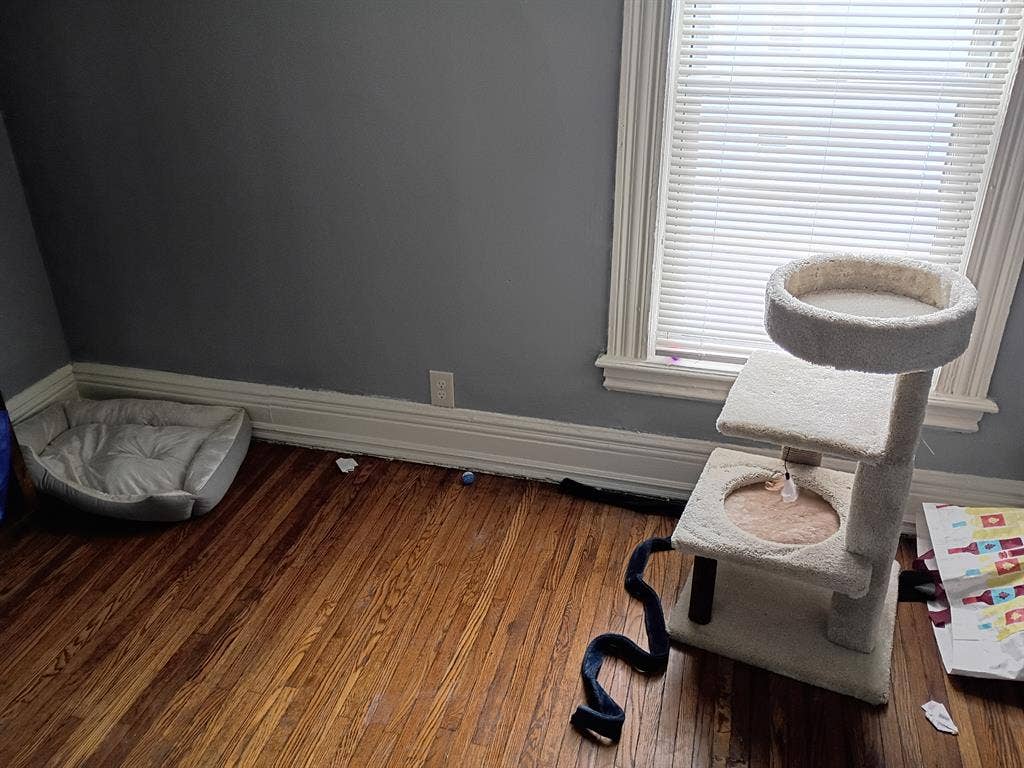 Looking for clean, tidy person!