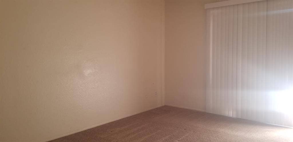 Roommate Wanted for Lease