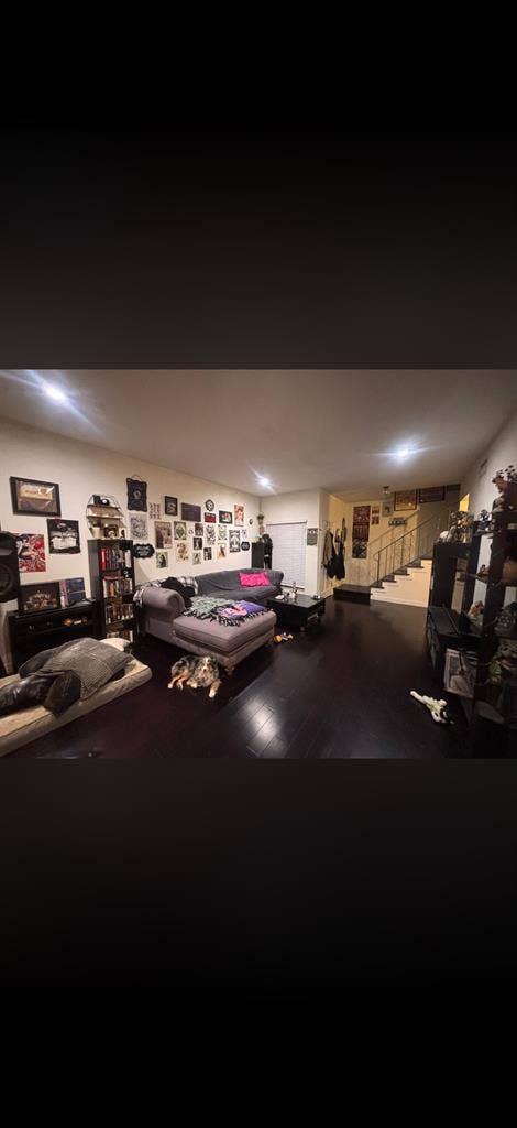 New Listing