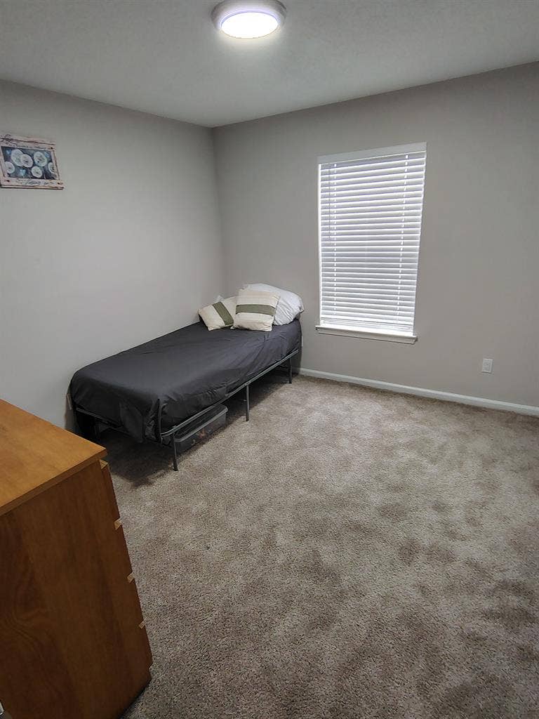Looking for a roommate