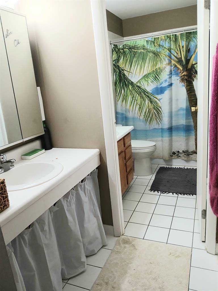4 LAKES LISLE, 1 LG. Furnished Rm.