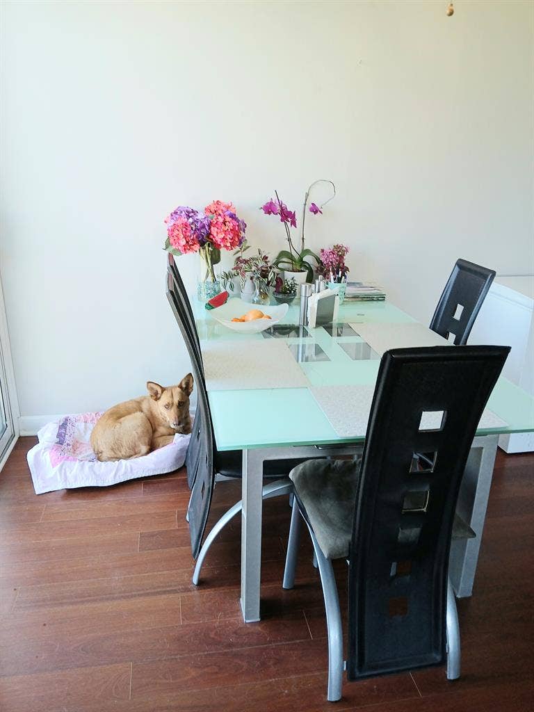 4 LAKES LISLE, 1 LG. Furnished Rm.