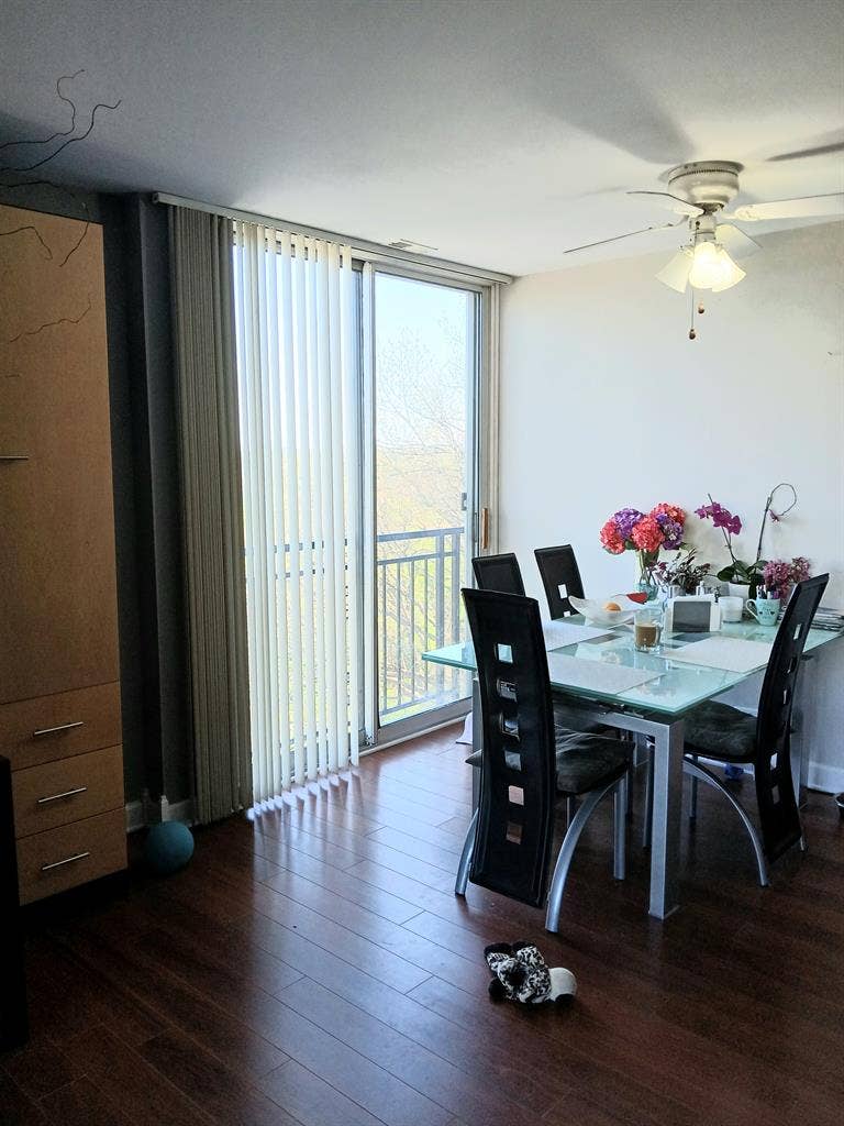 4 LAKES LISLE, 1 LG. Furnished Rm.