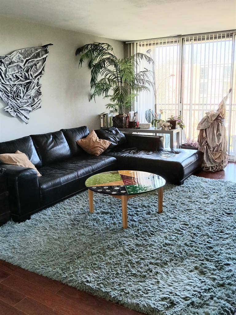 4 LAKES LISLE, 1 LG. Furnished Rm.