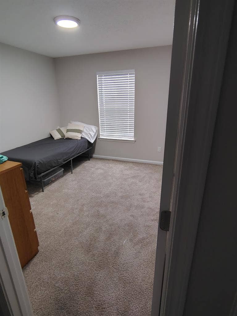 Looking for a roommate