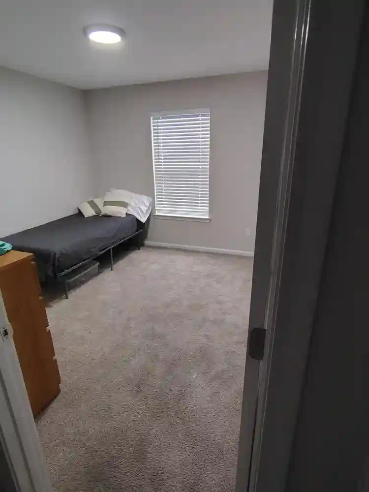 Looking for a roommate