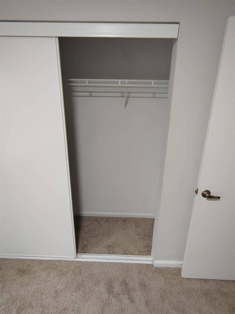 Looking for a roommate