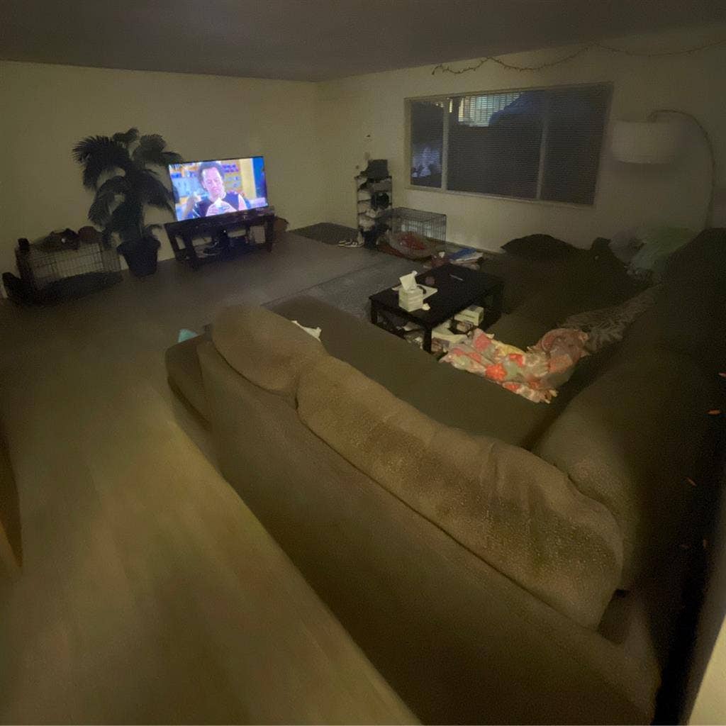 One bed room open