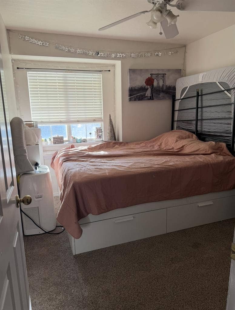 Looking for a roommate