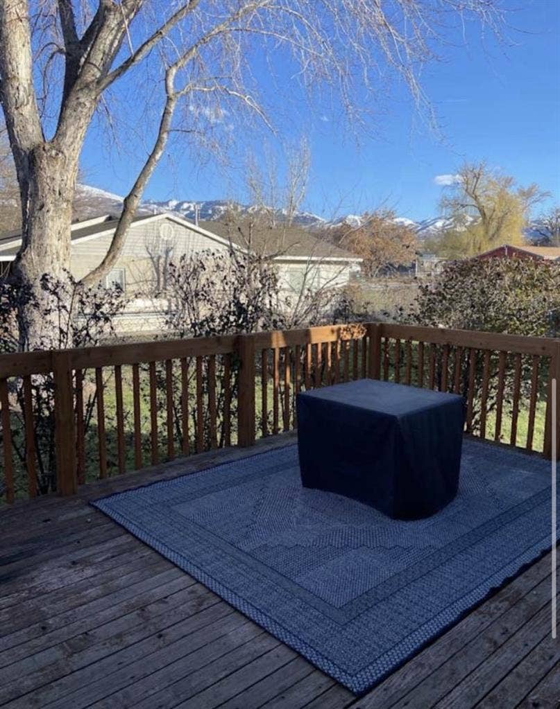 Looking for a roommate