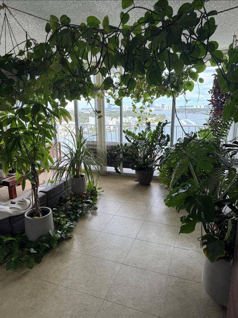 Great room in north bay village