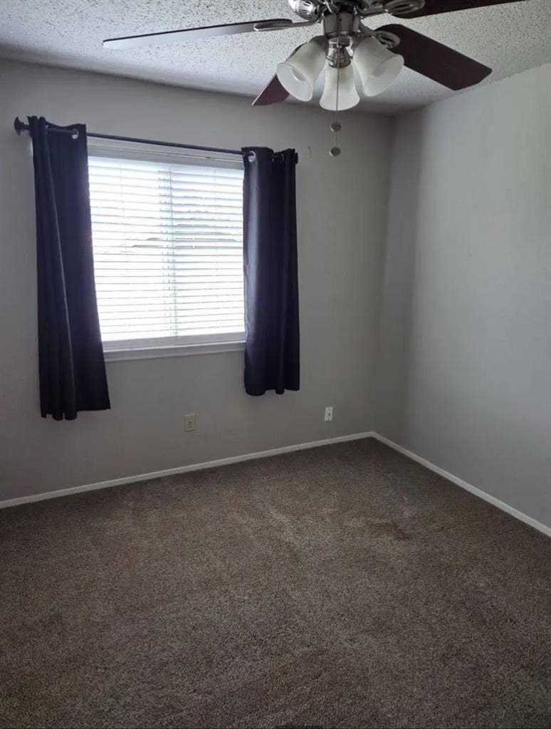 Roommate wanted 4 3BR in N. Austin