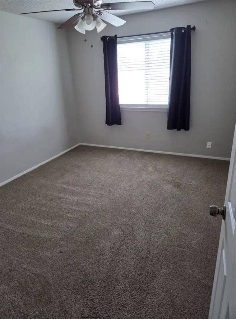 Roommate wanted 4 3BR in N. Austin