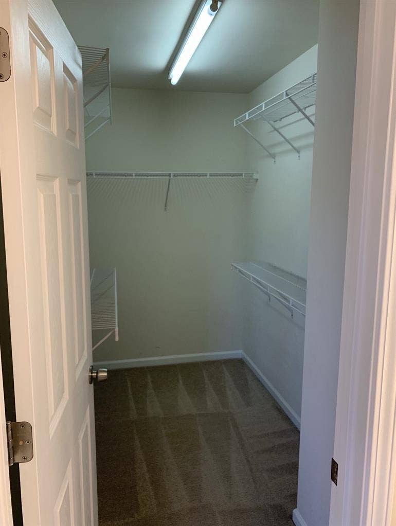 Roommate wanted Nov 2026
