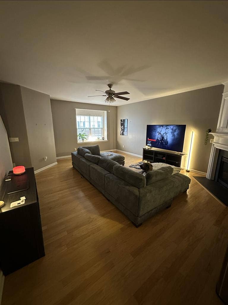 Roommate wanted Nov 2026