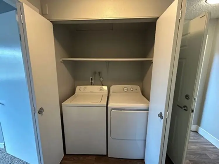 Roommate for Early June Move In