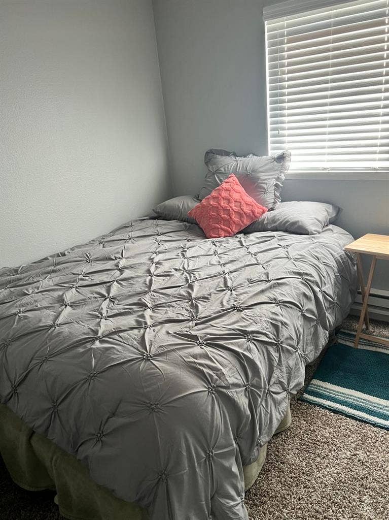 Roommate for Early June Move In