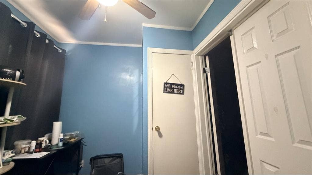 RoomMate wanted