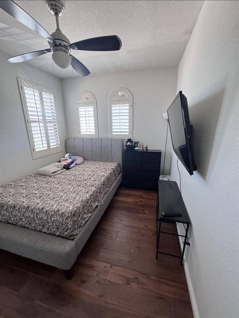 Looking for Friendly Roommate
