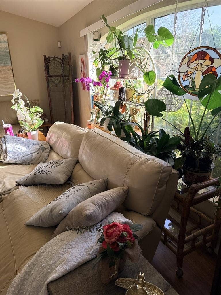 EDGEWATER, FL - Roomie Needed