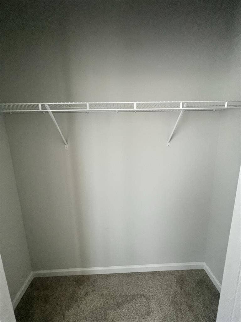 Room for rent!