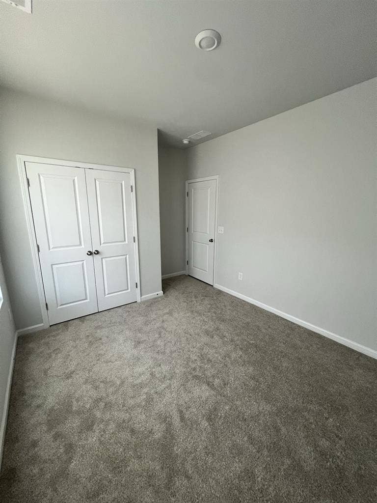 Room for rent!