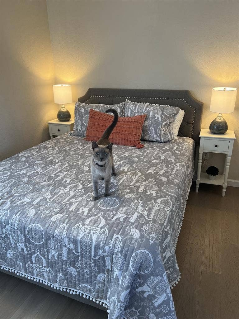 Single Room - North Napa