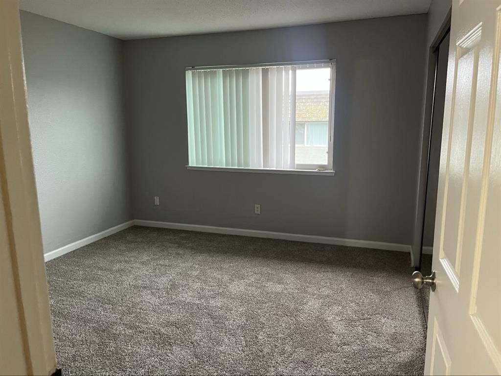 Looking for roommate for 1bd1ba