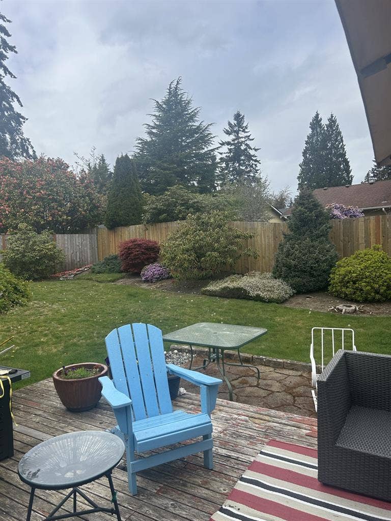 Immediate Room Rental/Lynnwood